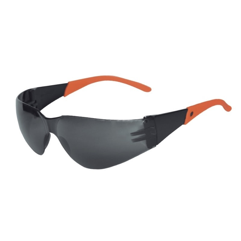 Pack 12 Lentes Seguridad Daumer L-300 Policarbonato C/Cordón