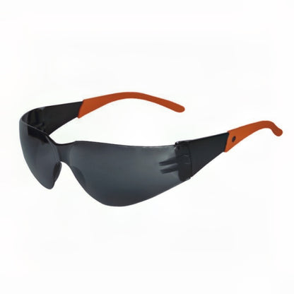 Pack 12 Lentes Seguridad Daumer L-300 Policarbonato C/Cordón