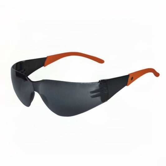 Pack 12 Lentes Seguridad Daumer L-300 Policarbonato C/Cordón